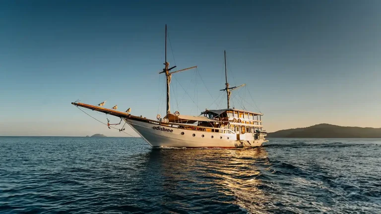 Booking a Komodo Liveaboard for 2027 Timeline