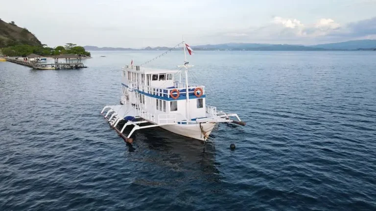 How to Choose a Komodo Liveaboard Boat (Expert Guide)