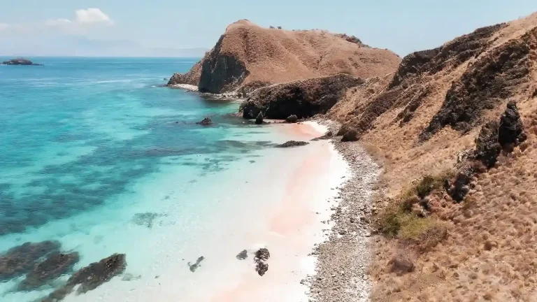 Why Pink Beach Komodo Is Pink & How to See It by Liveaboard