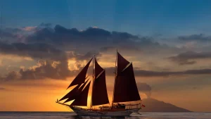 Customize Your Best Liveaboard Komodo Atelier