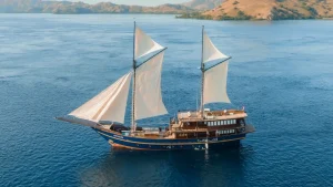 Best Liveaboard Komodo Atelier Safety & Trust