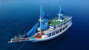 Contact Best Liveaboard Komodo Atelier