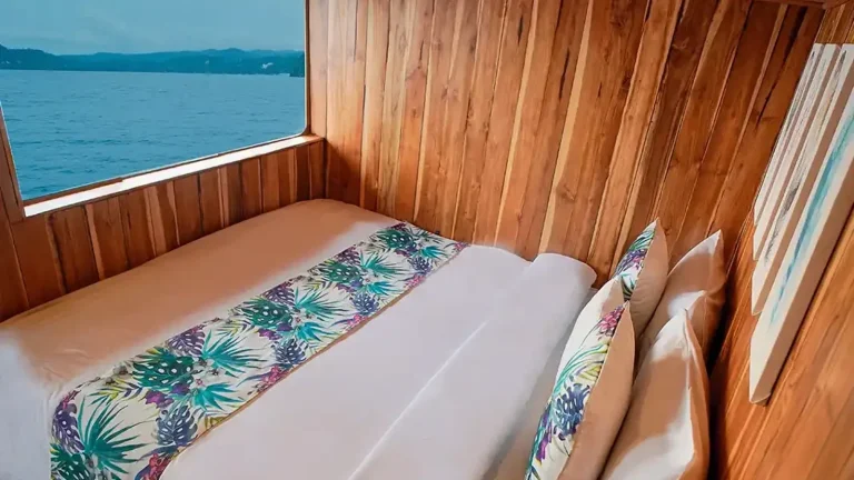 Komodo Liveaboard Price Guide for High-End Private Charters