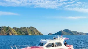 Our Team — Indonesia Luxury Liveaboard Komodo Specialists