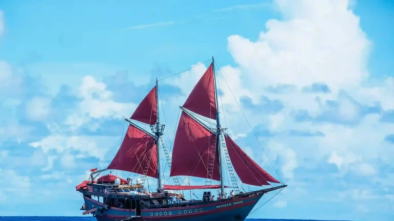 Diving Komodo: The Sites People Search Most