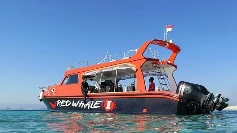 Getting To Labuan Bajo And Boarding Smoothly