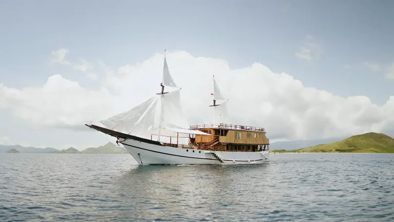 Group Trips, Friends, And Corporate Charters