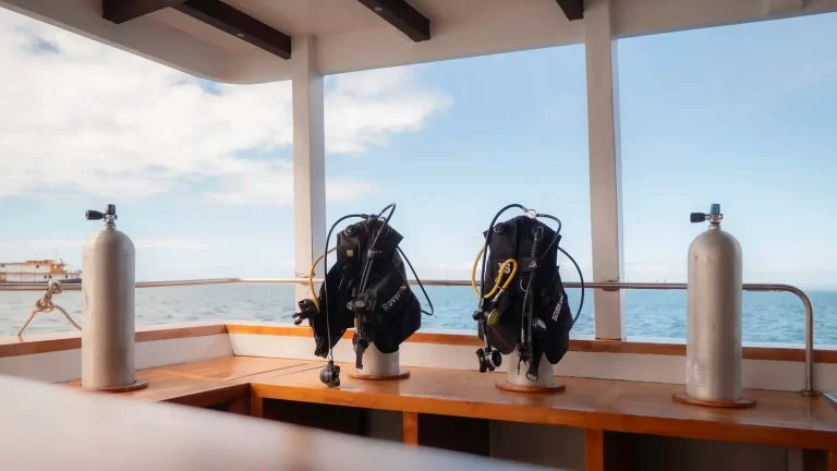 Komodo Liveaboard Photography Gear and Settings Guide