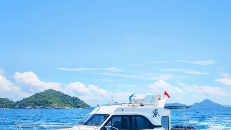 Seasickness, Safety, And Motion Tips At Sea