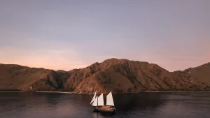 Sewa Kapal Liveaboard Komodo Labuan Bajo