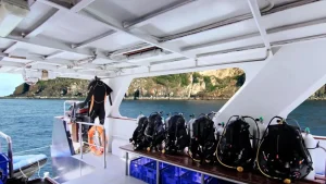 Best Liveaboard Komodo FAQ — Your Questions Answered 2027