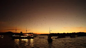 Kalong Island Komodo Sunset Liveaboard