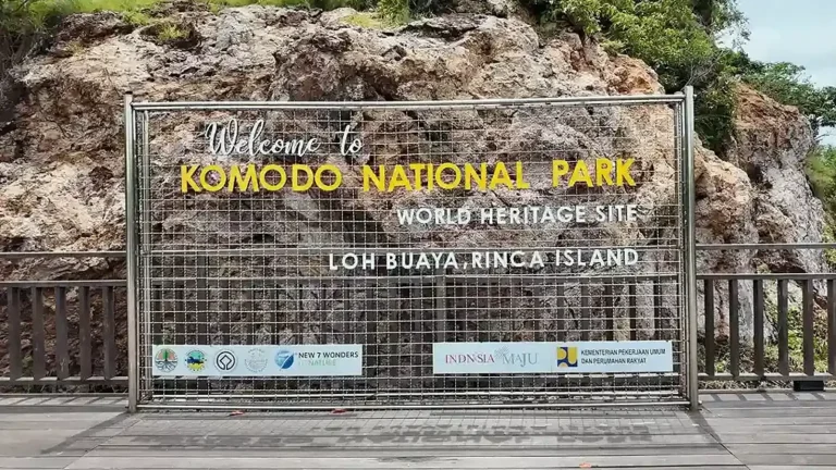 Rinca vs Komodo Island: Where to See the Dragons in 2026